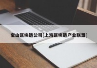 宝山区块链公司[上海区块链产业联盟]